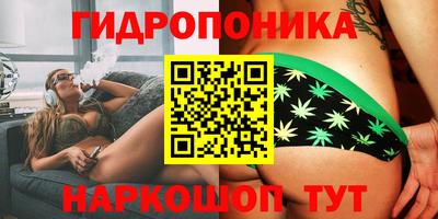 a pvp Тулун